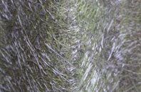 Melksham fibreglass roof work